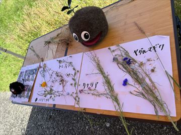 2～5月のお花畑