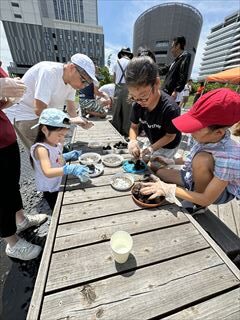 6～9月のお花畑