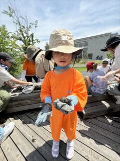 6～9月のお花畑