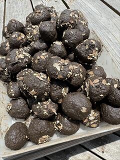 6～9月のお花畑