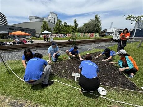 6～9月のお花畑