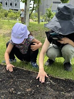6～9月のお花畑