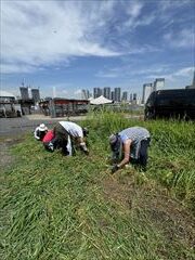 6～9月のお花畑