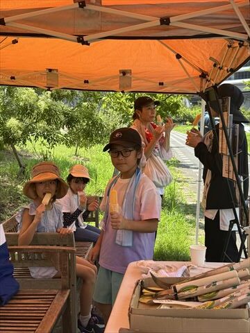 6～9月のお花畑