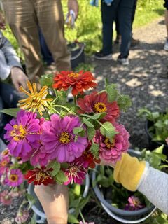 6～9月のお花畑