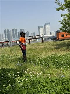 10~5月のお花畑