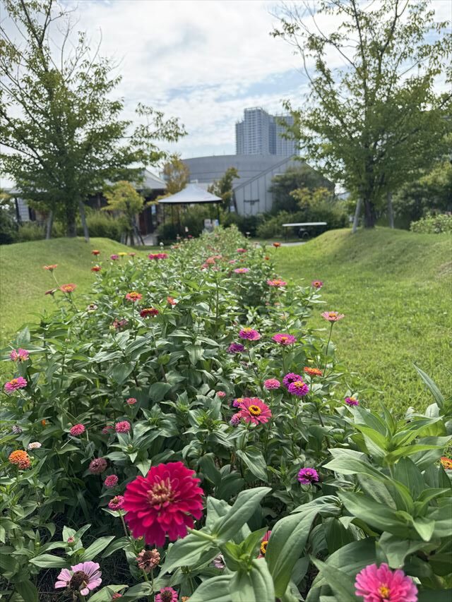 8月のお花畑
