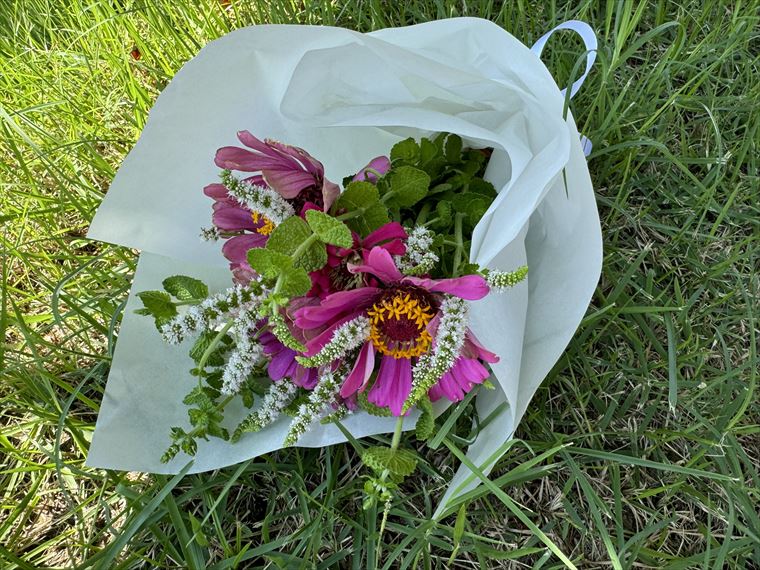 「花畑だより」2024年6月～9月のご報告　夏～秋の花